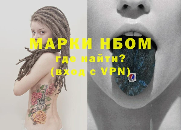 молекула духа Каменногорск